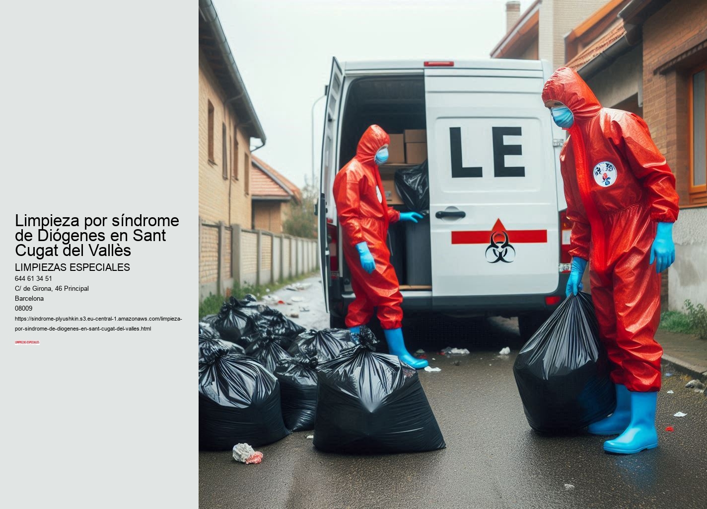 El papel de los servicios sociales en el síndrome de Diógenes