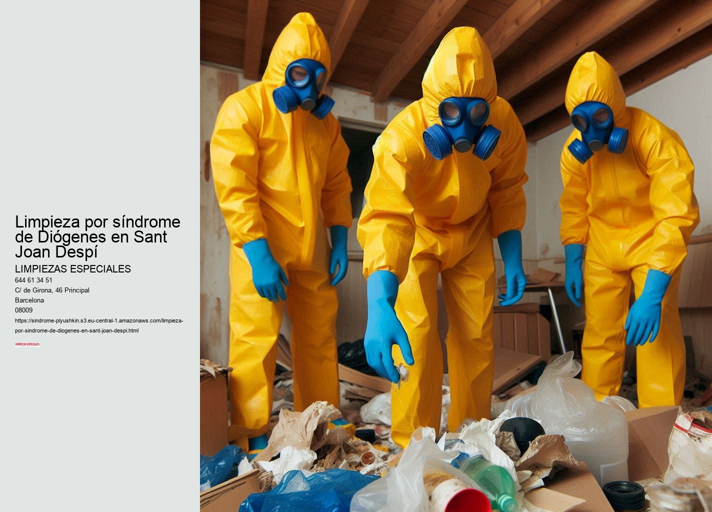 Eliminación de plagas y control de infecciones